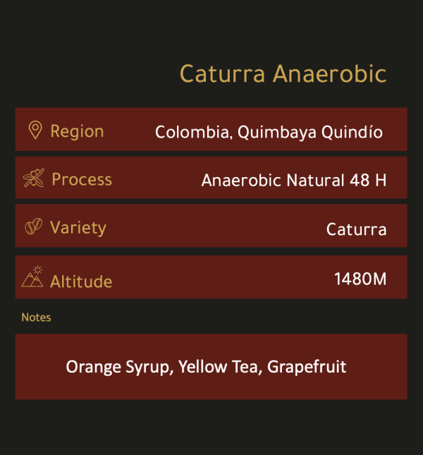 Caturra anaerobic