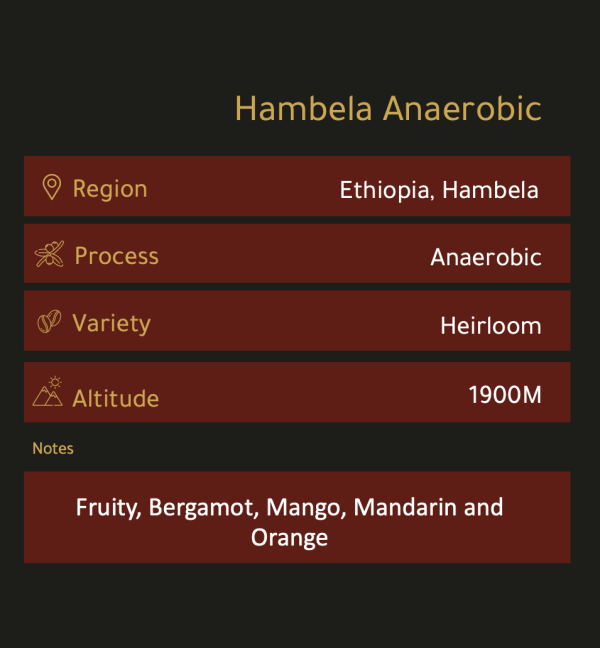 Hambela Anaerobic