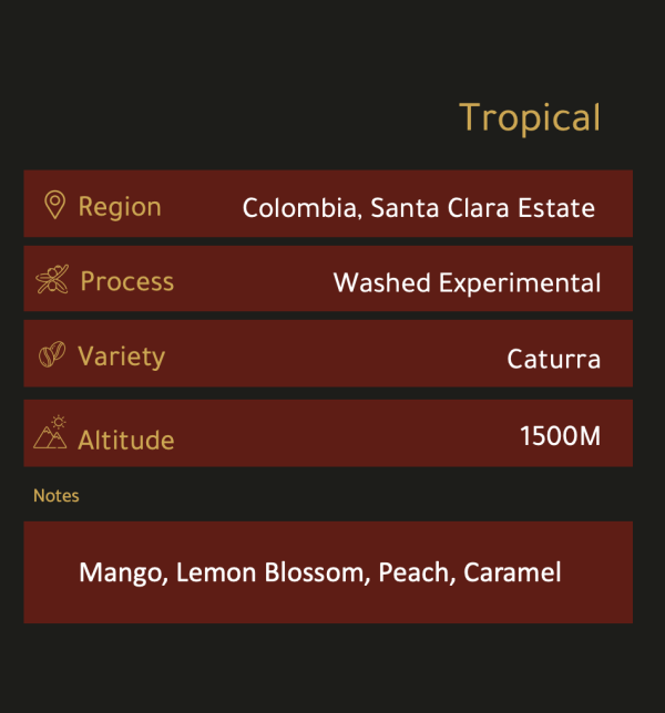 Tropical