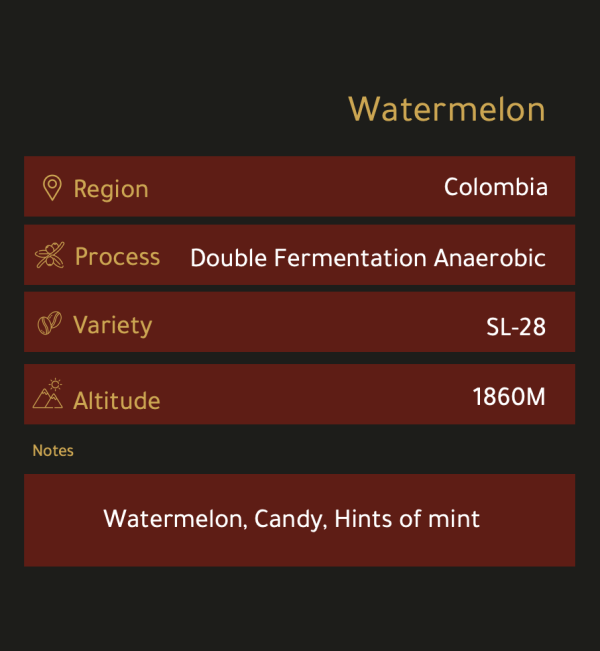 Watermelon